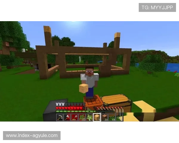 AG国际厅官网提供多样化的游戏选择，满足不同玩家的娱乐需求